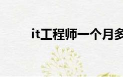 it工程师一个月多少钱（it工程师）