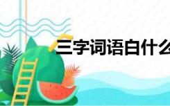 三字词语白什么什么（三字词）