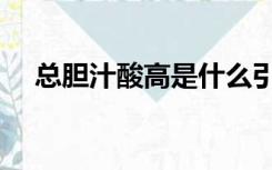 总胆汁酸高是什么引起的（总胆汁酸高）