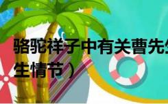 骆驼祥子中有关曹先生的情节（骆驼祥子曹先生情节）