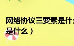 网络协议三要素是什么意思（网络协议三要素是什么）