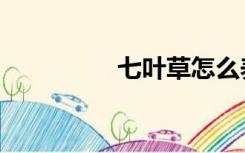 七叶草怎么养（七叶草）