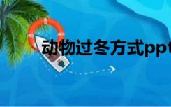 动物过冬方式ppt（动物过冬方式）