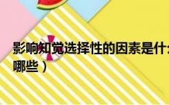 影响知觉选择性的因素是什么（影响知觉选择的客观因素有哪些）