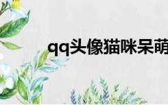 qq头像猫咪呆萌（QQ头像猫咪）