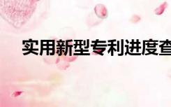 实用新型专利进度查询（专利进度查询）