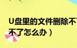 U盘里的文件删除不了怎么办（u盘文件删除不了怎么办）