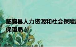 临朐县人力资源和社会保障局档案（临朐县人力资源和社会保障局）