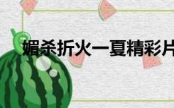 媚杀折火一夏精彩片段（媚杀折火一夏）