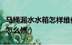 马桶漏水水箱怎样维修（卫生间马桶水箱漏水怎么修）