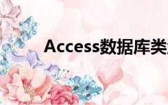 Access数据库类型（数据库类型）