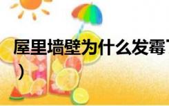 屋里墙壁为什么发霉了（屋里墙壁为什么发霉）