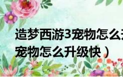 造梦西游3宠物怎么升级快一点（造梦西游3宠物怎么升级快）