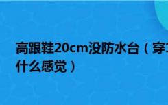 高跟鞋20cm没防水台（穿18cm高跟鞋(细跟无防水台) 是什么感觉）