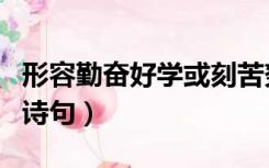 形容勤奋好学或刻苦努力的诗句（勤奋学习的诗句）