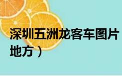 深圳五洲龙客车图片（深圳五洲龙客车在什么地方）