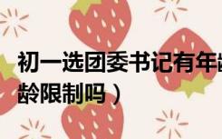 初一选团委书记有年龄限制吗（团委书记有年龄限制吗）