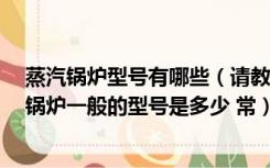 蒸汽锅炉型号有哪些（请教一下 锅炉都有什么种类的 蒸汽锅炉一般的型号是多少 常）