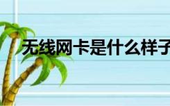 无线网卡是什么样子（无线网卡是什么）
