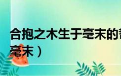 合抱之木生于毫末的哲学道理（合抱之木生于毫末）