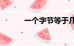 一个字节等于几位（一个字节）