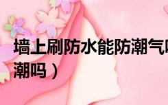 墙上刷防水能防潮气吗（装修墙面有必要刷防潮吗）