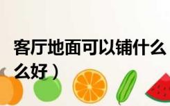 客厅地面可以铺什么（房子装修客厅地面铺什么好）