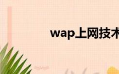 wap上网技术（wap上网）
