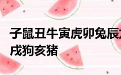 子鼠丑牛寅虎卯兔辰龙巳蛇午马未羊申猴酉鸡戌狗亥猪