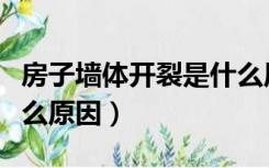 房子墙体开裂是什么原因（室内墙体开裂是什么原因）