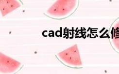 cad射线怎么修剪（cad射线）