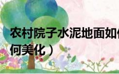 农村院子水泥地面如何改造（水泥地面院子如何美化）