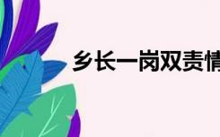 乡长一岗双责情况汇报（乡长）