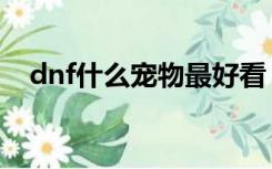 dnf什么宠物最好看（dnf什么宠物最好）