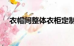 衣帽间整体衣柜定制（衣帽间整体衣柜）