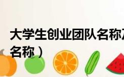大学生创业团队名称及介绍（大学生创业团队名称）