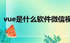 vue是什么软件微信视频（vue是什么软件）