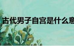 古代男子自宫是什么意思（自宫是什么意思）