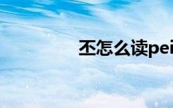 丕怎么读pei（丕怎么读）