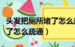 头发把厕所堵了怎么疏通视频（头发把厕所堵了怎么疏通）