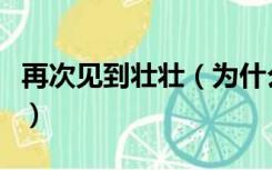 再次见到壮壮（为什么彤彤和壮壮第一次见面）