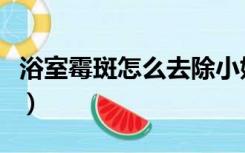 浴室霉斑怎么去除小妙招（浴室霉斑怎么去除）