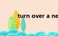 turn over a new leaf什么意思