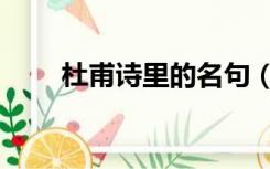 杜甫诗里的名句（杜甫的名诗名句）