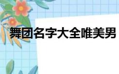 舞团名字大全唯美男（舞团名字大全唯美）