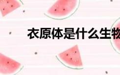 衣原体是什么生物（衣原体是什么）