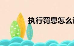 执行罚息怎么计算（执行罚）