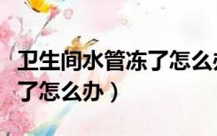 卫生间水管冻了怎么办不漏水（卫生间水管冻了怎么办）