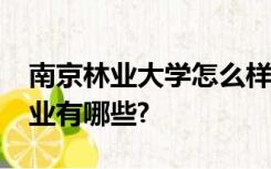 南京林业大学怎么样好不好?排名多少优势专业有哪些?