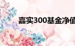 嘉实300基金净值查询（嘉实300）